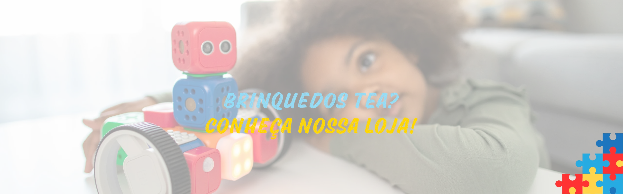 Brinquedos para autista